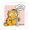 garfield monday2.jpg