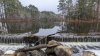 PXL_20220207_173949235.jpg