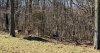 PXL_20220209_170126763.jpg