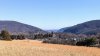 PXL_20220209_170850975.jpg