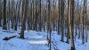 PXL_20220211_134942625.jpg