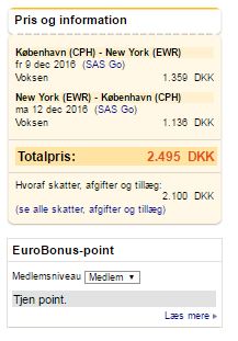 Rejs fra København til New York for kun 2.495,- kroner.