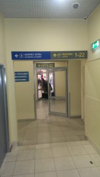 Business adgang til Domodedovo