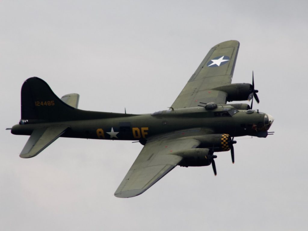 Sally B