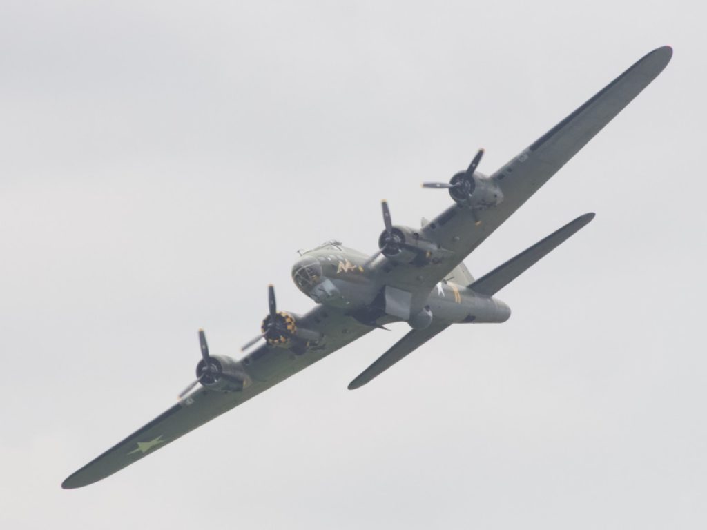 Sally B