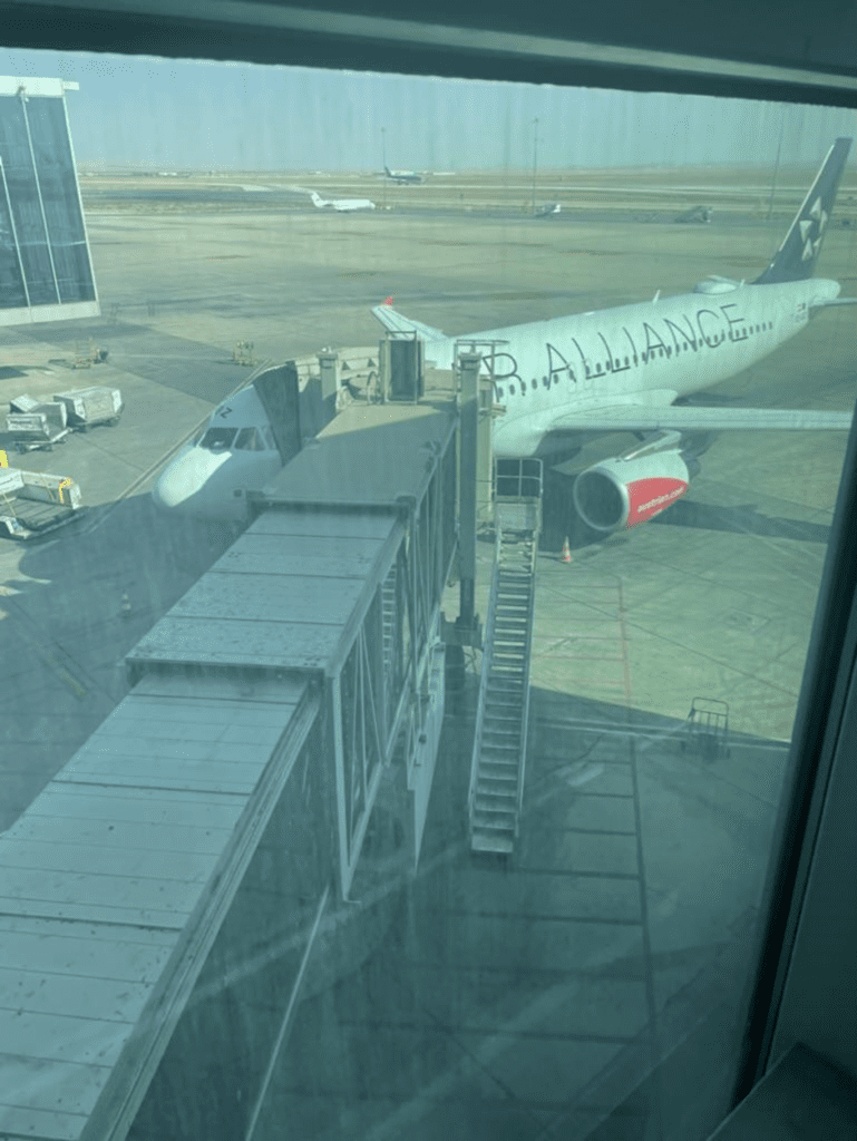 Rejsebrev: Amman til på business med Airlines - InsideFlyer DK